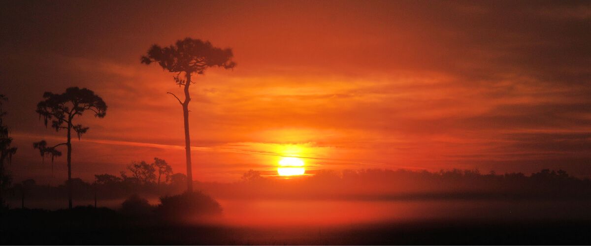 Fishing Trips in Overstreet, Florida, United States BaitYourHook