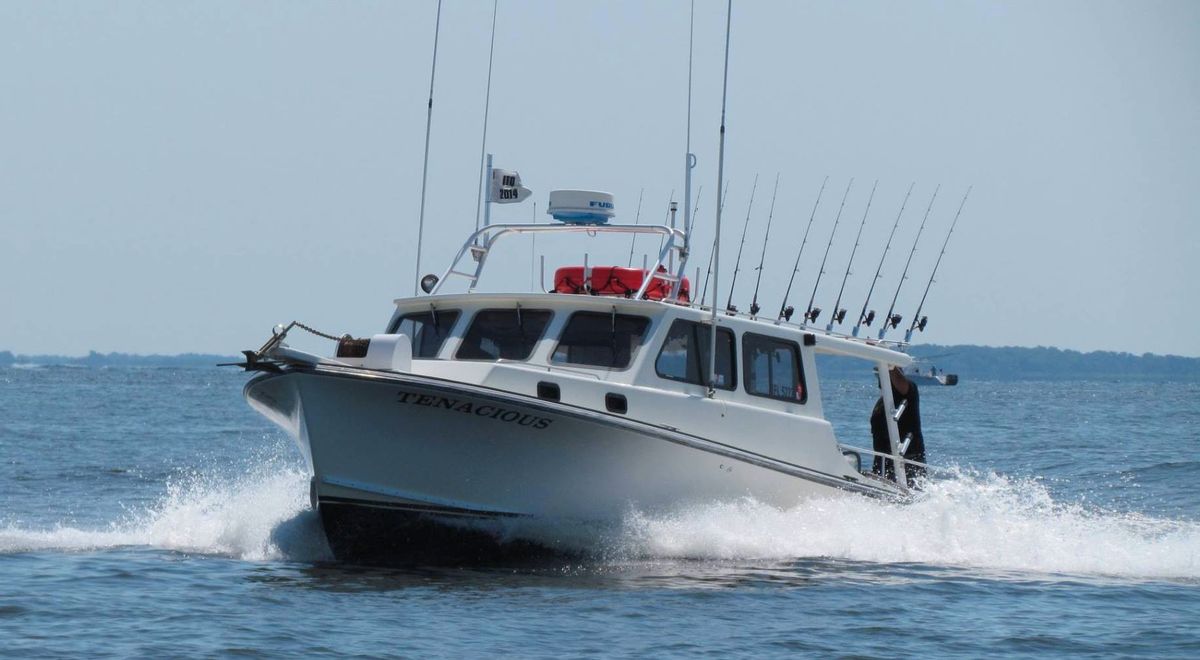 Maryland Chesapeake Bay Charter Fishing / Deale, Maryland, United