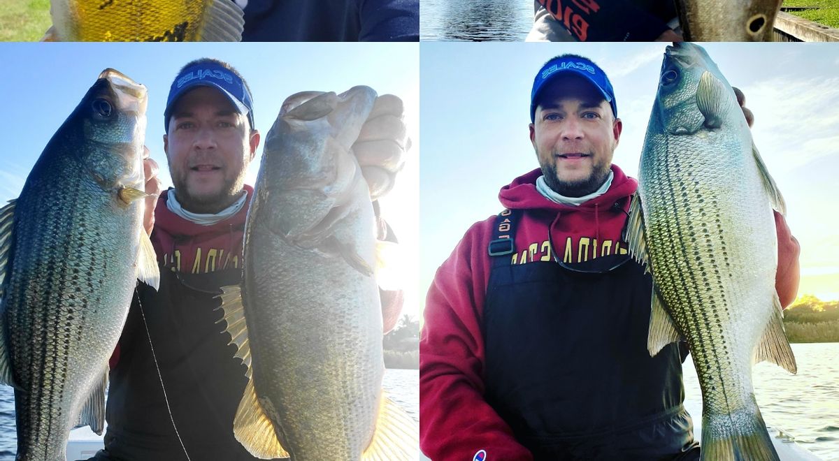 Lake Ida Florida fishing for Peacock Bass, Largemouth, Sunshine