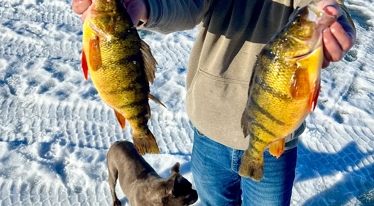 Snobear Ice Fishing Charter / Pelican Narrows, Alberta, Canada ...