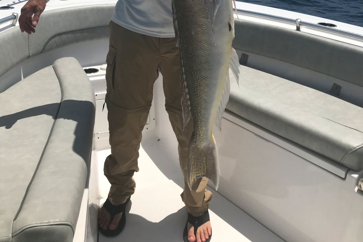 Offshore deep dropping trip 10 hour