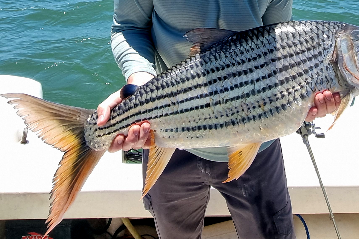 Fully Catered Adventure Fishing Safaris