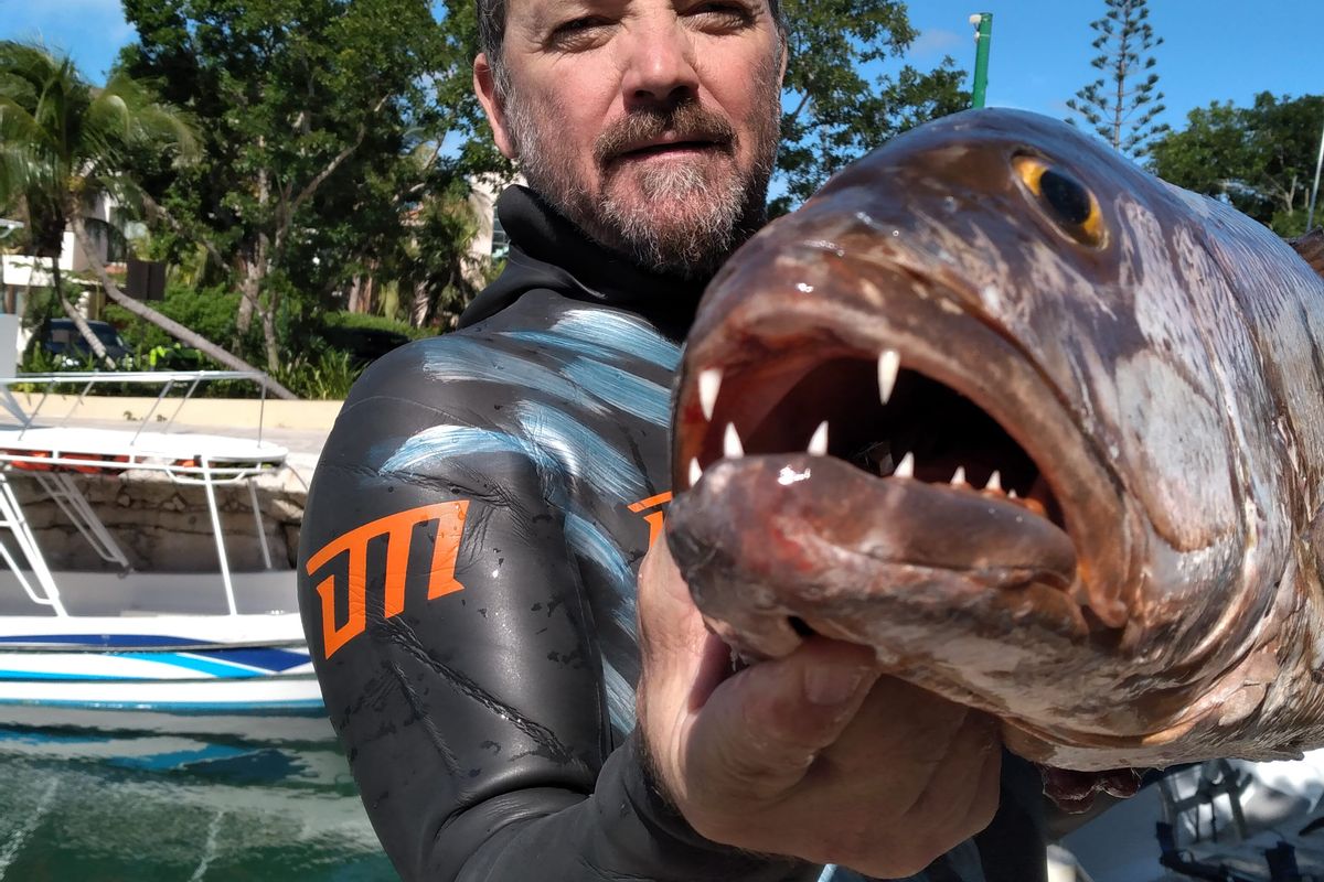 Arpon Spearfishing