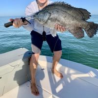 Fort Myers and Islands Fishing