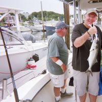 Tiggertoo Charters