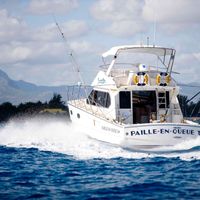 Full Day Fishing in Mauritius