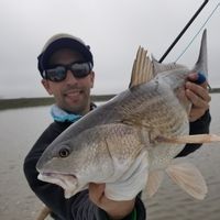 South Louisiana Redfish Fishing Charters