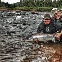 Wild Atlantic Salmon ( Nova Scotia)