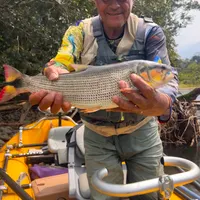 Amazon Dorados flyfishing in Ecuador
