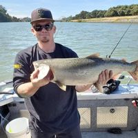 Topline Sport Fishing – Rio Vista