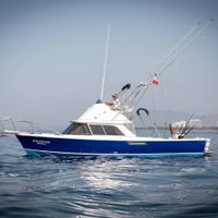 Nuevo Vallarta Fishing Charter 31