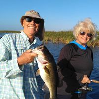 Bass Fishing Charters with Capt George Mro