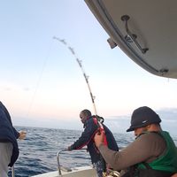 HALF DAY FISHING VIENNA MOMBASA KENYA