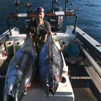 Yellowfin tuna Charters. Cape town