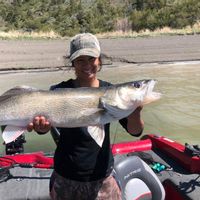 Fort Peck Lake, MT since 1993