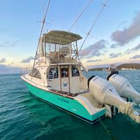Marlin fishing in Galapagos