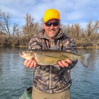Fly Fishing the Big Horn River