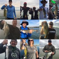 Guided Boat Fishing Trip