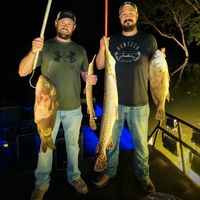 Missouri Bowfishing, Gigging, and Trout