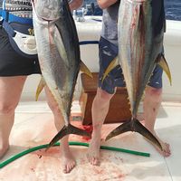 Bonaire Sport Fishing Adventures