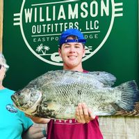 Florida Tripletail Fishing