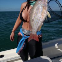 BGS South Fishing Adventures