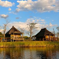 Photographic Safari + Zambezi Region Tiger/Nembwe Fishing