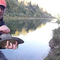 Fly fishing in Bosnia with guide Amir