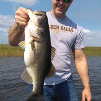 Bass Fishing Charters with Capt George Mro