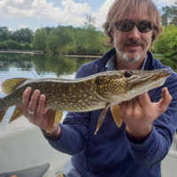 Fishing pike in private pond