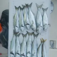 Fishing trip Sarafovo