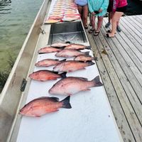 Reel Addiction Fishing Charters