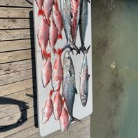 SPI Freedom Fishing