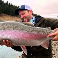 Trout & Salmon Fishing on South Island