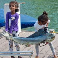 FULL DAY FISHING VIENNA MOMBASA MTWAPA