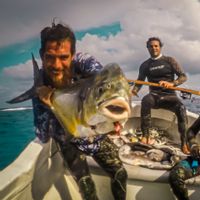 Spearfishing Charter