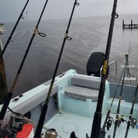Reelaxin fishing charters