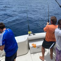Victory Sportfishing - 35' Cabo Express