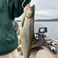 Maine Trout Fishing