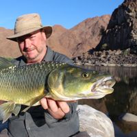 Orange River Yellowfish Safari