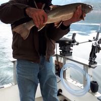 Kootenay region fishing guide service