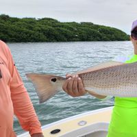 Captain Ted Nesti Inshore Fishing Charters