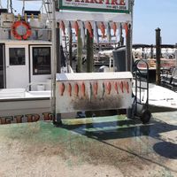 Charter  Boat Starfire