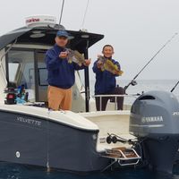 Bluefin and Halibut Fishing on Sakhalin and Kuril Islands