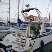Cascais: Half-day Fishing Tour