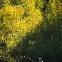 Rahue House - Fishing & Hunting Lodge