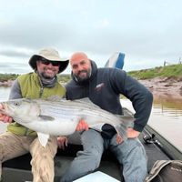 Striped bass fishing