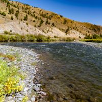 Blackfoot River Fly Fishing!