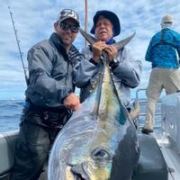 Fish Tales II Yellowfin Tuna