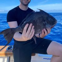 Gavito - Madeira Fishing Charters